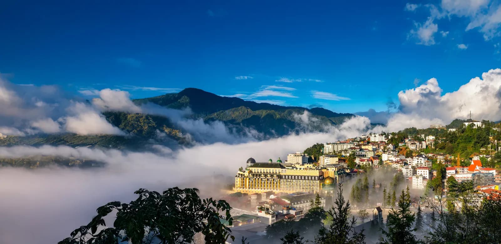 Sapa