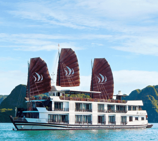 Pelican Cruise