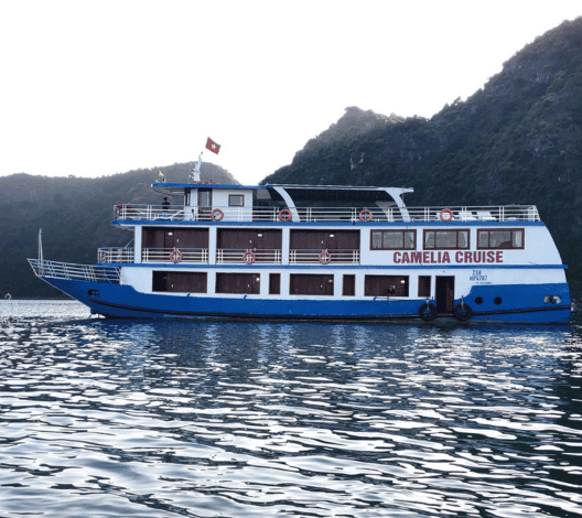 Cruise gallery photo 4