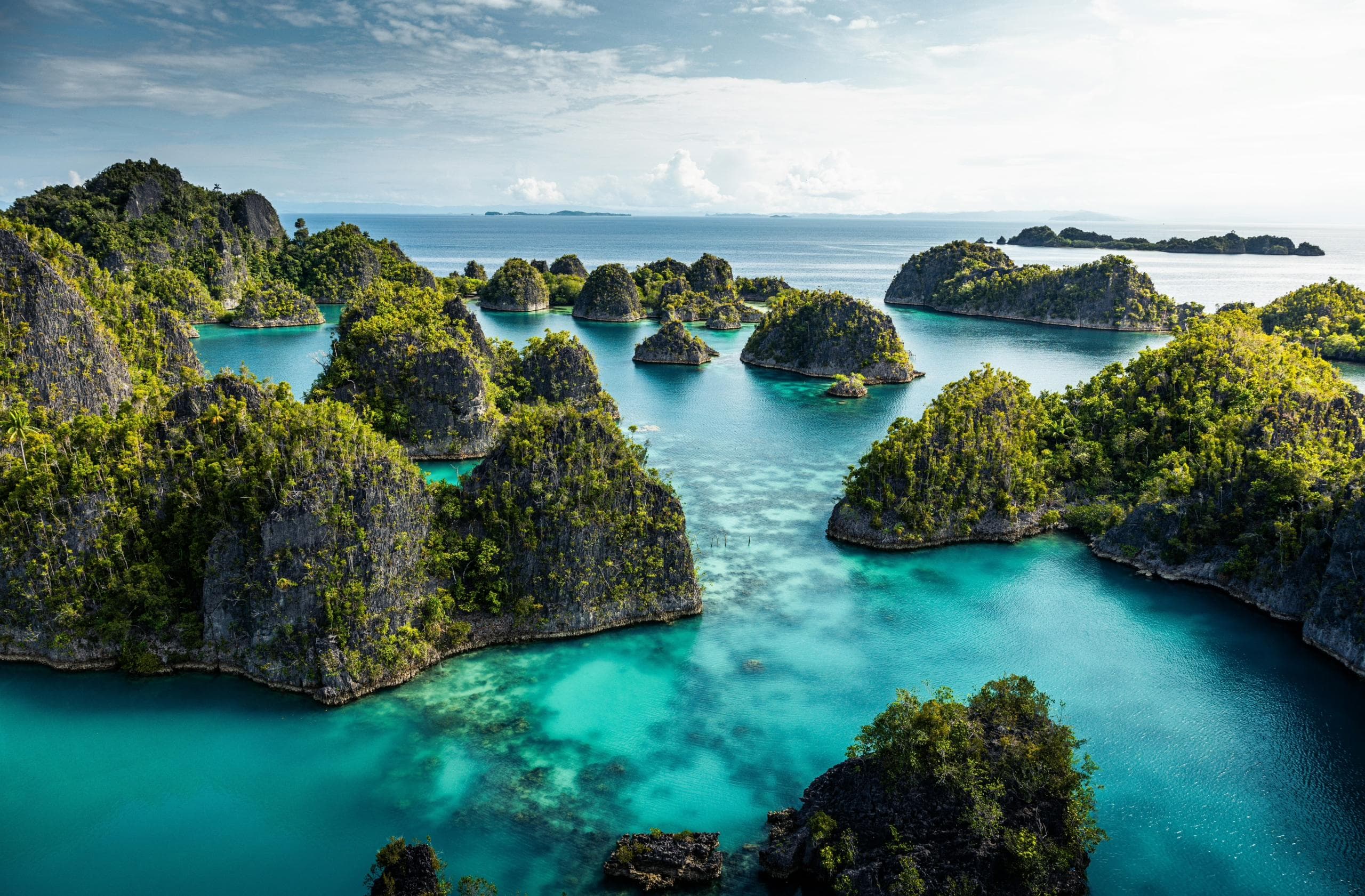 The Best Times to Visit Each Region of Vietnam: A Season-by-Season Guide